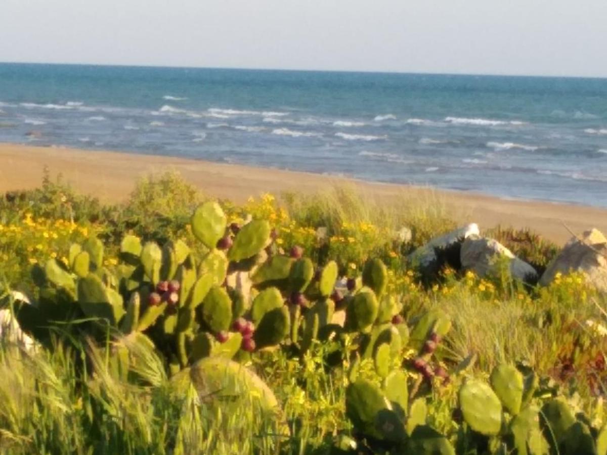 فيلا Casale Hibiscus سانتا ماريا ديل فوكالو المظهر الخارجي الصورة